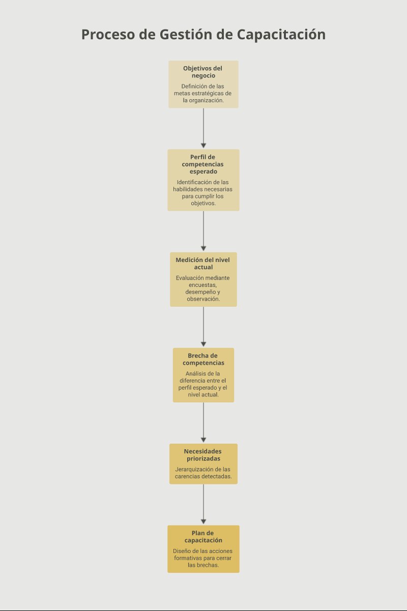 Las seis etapas del Diagnostico de Necesidades de Capacitacion: de los objetivos del negocio al plan de formacion priori